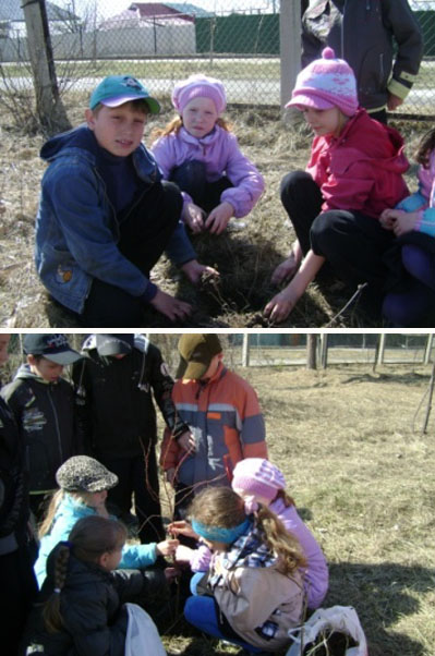 г.Шумерля: навстречу Дню дерева - 2010